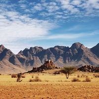 Namib desert, Namibia.