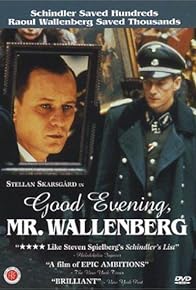 Primary photo for Good Evening, Mr. Wallenberg