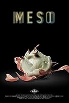 Meso (2017)