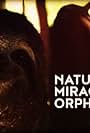 Nature's Miracle Orphans (2014)