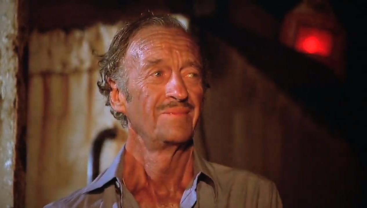 David Niven in The Sea Wolves (1980)