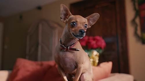 Pups Alone Trailer ansehen