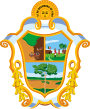 Manaus – znak