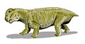 Lystrosaurus, et dicynodont therapsid krypdyr.