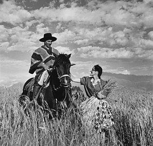 Huaso, by Toni Frissell