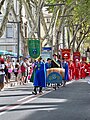 Parade der Confrérie du Plant de Vigne de Caromb in Avignon