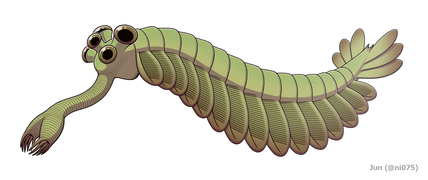 Opabinia, olağandışı bir vücut planına sahip bir yaratıktı. Tahminen diğer eklem bacaklılarla akrabaydı.