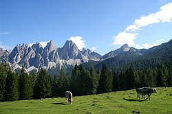 Lozzo di Cadore