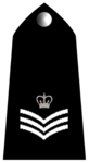 Station Sergeant (gruppchef)