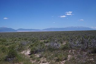 "Chico" vegetation with Sarcobatus spec. and Chrysothamnus nauseosus