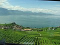 Lavaux از خط راه آهن از لوزان به Palézieux و برن.