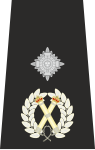 Deputy Assistant Commissioner