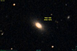 NGC 1304