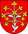 Wappen von Cejkov