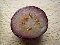 A cut blueberry showing how, having been frozen and then thawed, the anthocyanins in the pericarp can run into the damaged cells, staining the flesh.