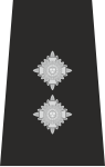 Police Inspector