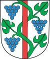 Blason