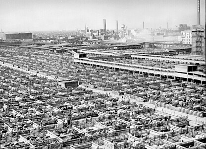 Union Stock Yards, by John Vachon