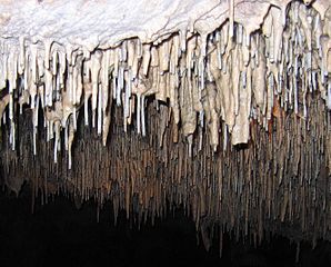 Stalactites (Hérault, France).