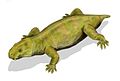 Dicynodon