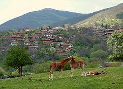 A rural landscape in Sliven Province