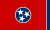 Drapeau de l’État du Tennessee, aux États-Unis d’Amérique.