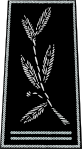 Commissaire divisionnaire, Colonel, Polismästare