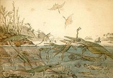 Watercolour of prehistoric animals and plants living in the sea and on the nearby shore; foreground figures include pterosaurs fighting in the air above the sea and an ichthyosaur biting into the long neck of a plesiosaur.