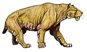 Life restoration of Smilodon populator