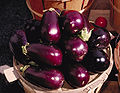 Aubergine