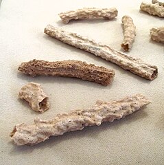 Sand fulgurites, highly weathered (paleofulgurites) Algeria