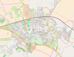 Mapa konturowa Chojnowa, w centrum znajduje się punkt z opisem „Cmentarz żydowski w Chojnowie”