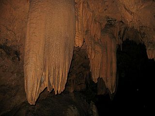 Stalactites (Hérault, France).