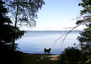 Mälaren mot norr från Adelsön