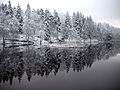 Lake Lilla Färgen