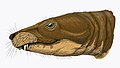 Theriognathus