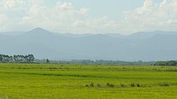 Landscape in the Pampas at eye level in Brazil