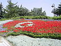 Image 20Flag of Turkey, from flowers