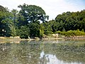 L'anse de Bodivit, anse annexe de l'anse de Combrit, elle-même anse annexe de la ria de l'Odet