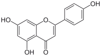 Image illustrative de l’article Apigénine