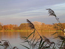 De Gavers in de herfst