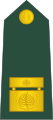 Brigadir (Slovenian Ground Force)[5]